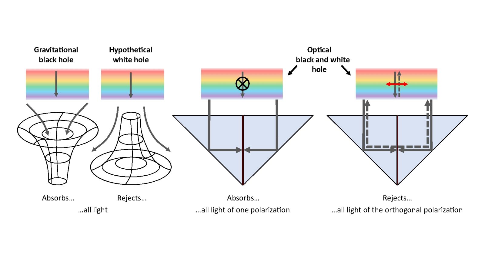 This device reproduces black holes and white holes in the laboratory 🌀
