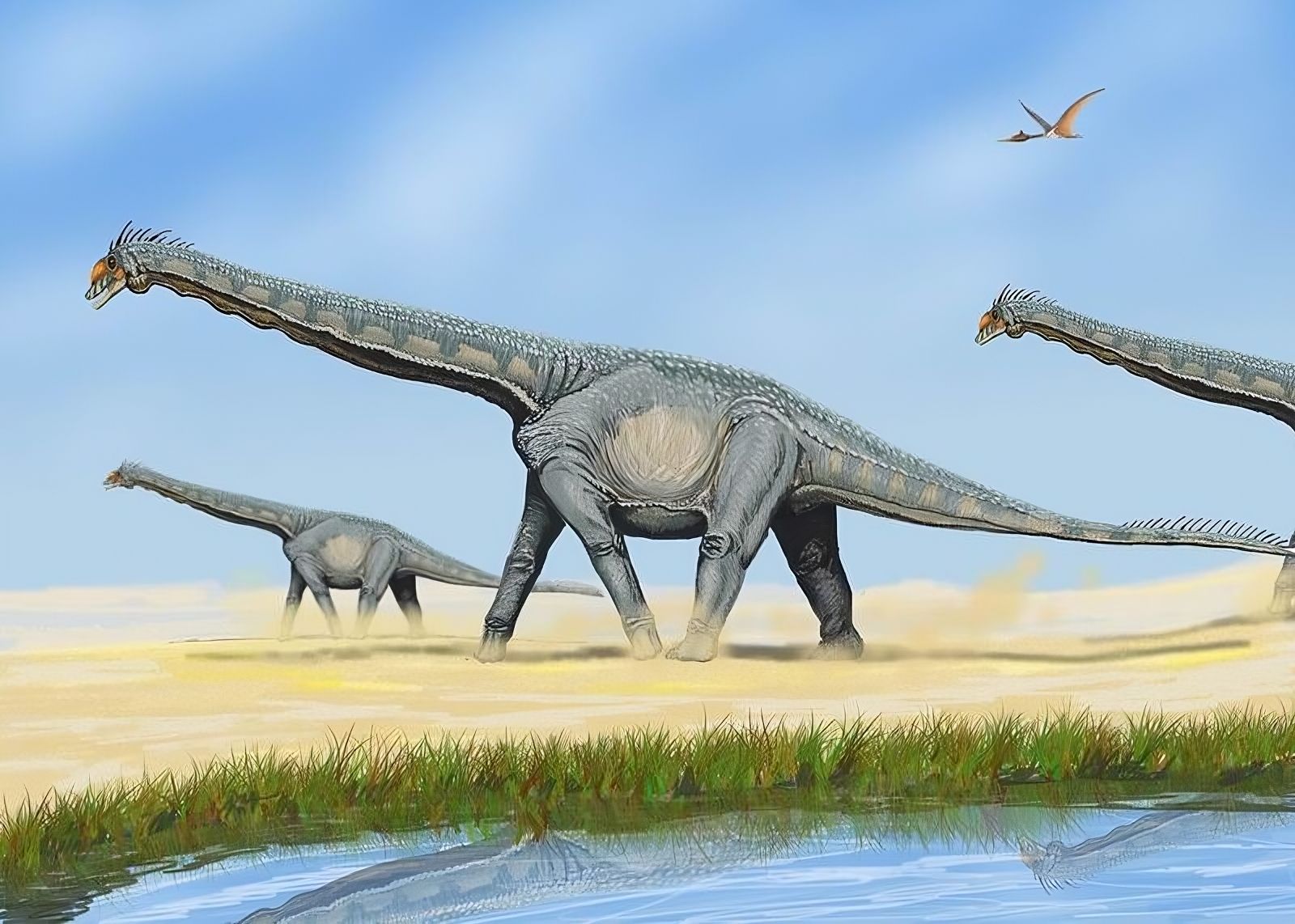 Discovery of a fossil from a little-known giant dinosaur 🦕