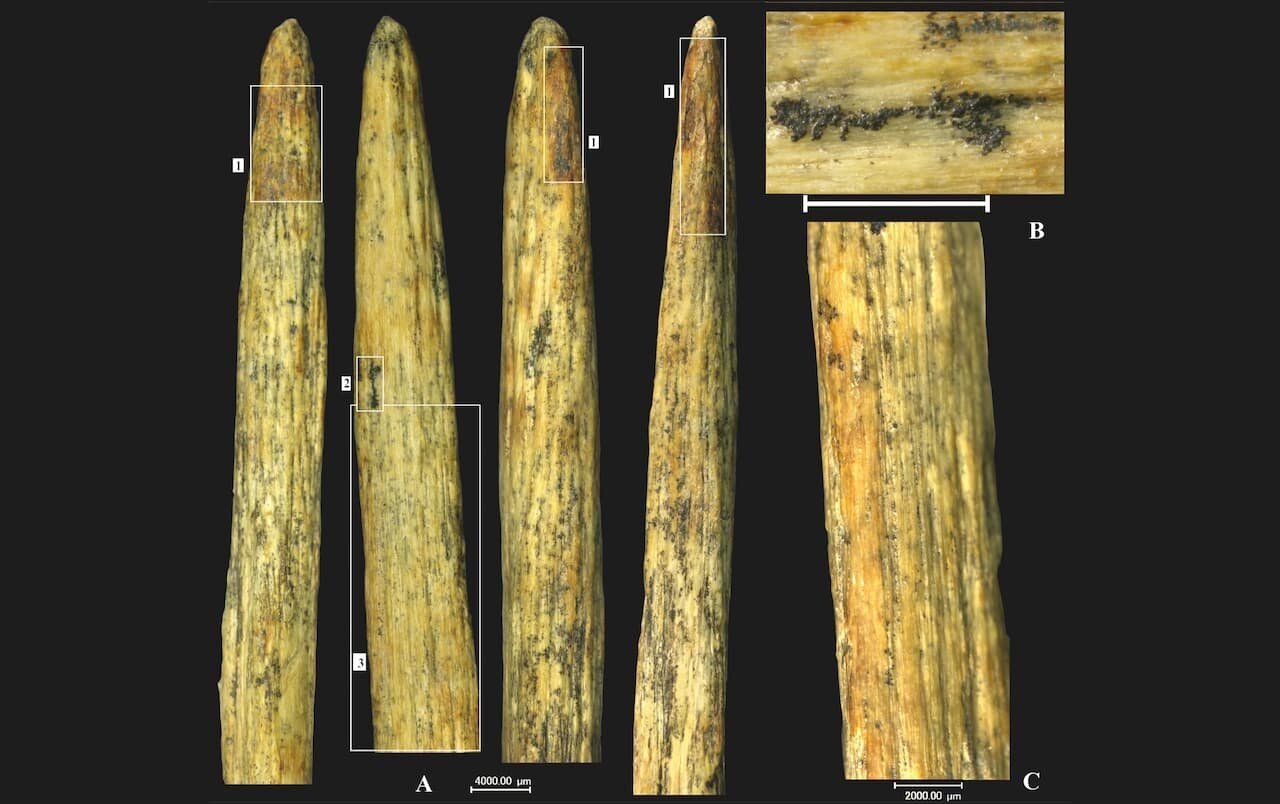 Discovery of an ancient weapon in Russia not created by our species 🦴