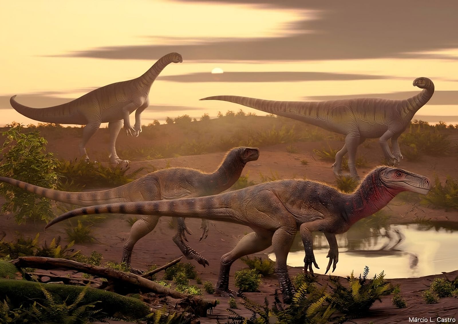 Discovery of a new dinosaur species in India 🦖