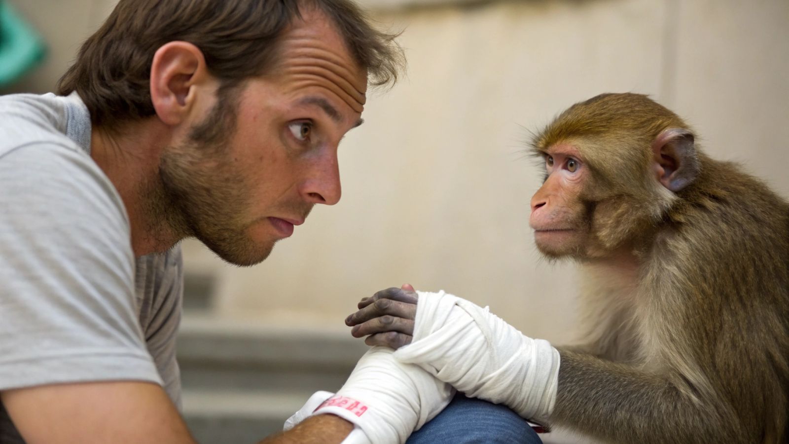 Why do we heal 3 times slower than monkeys? 🧐