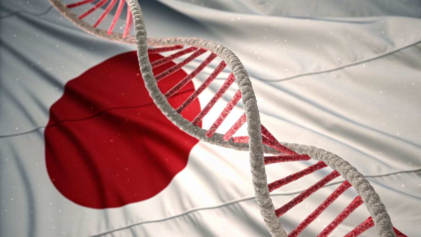 A new ancestral lineage discovered in the DNA of Japanese people 🧬
