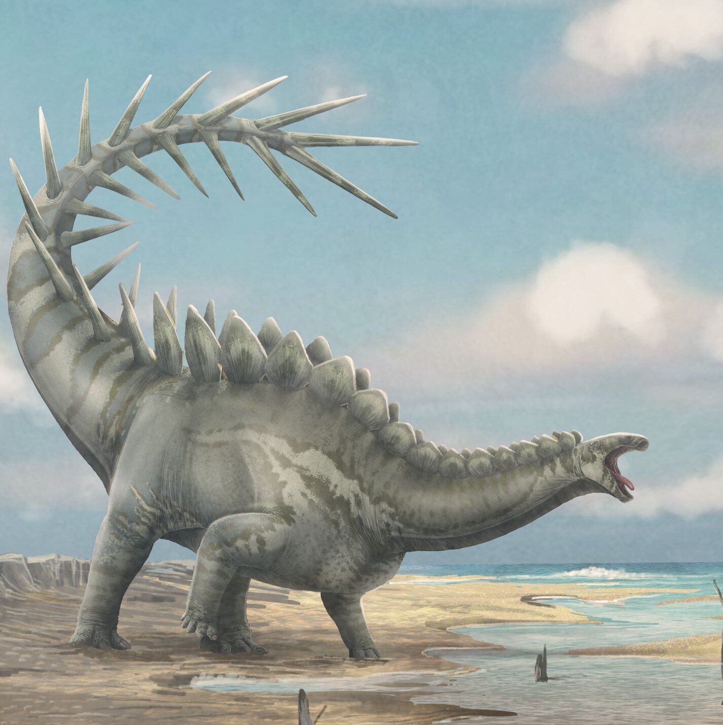 🦕 Este crânio de estegossauro, o mais completo já descoberto, reescreve a história