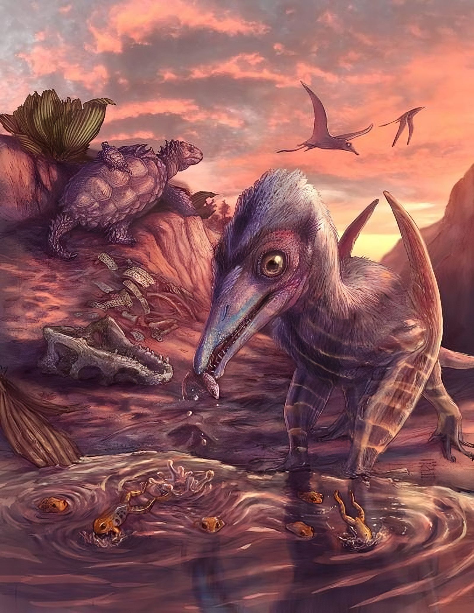 🦅 Découverte d'une très ancienne espèce de ptérosaure, si petit qu’il tiendrait sur votre épaule