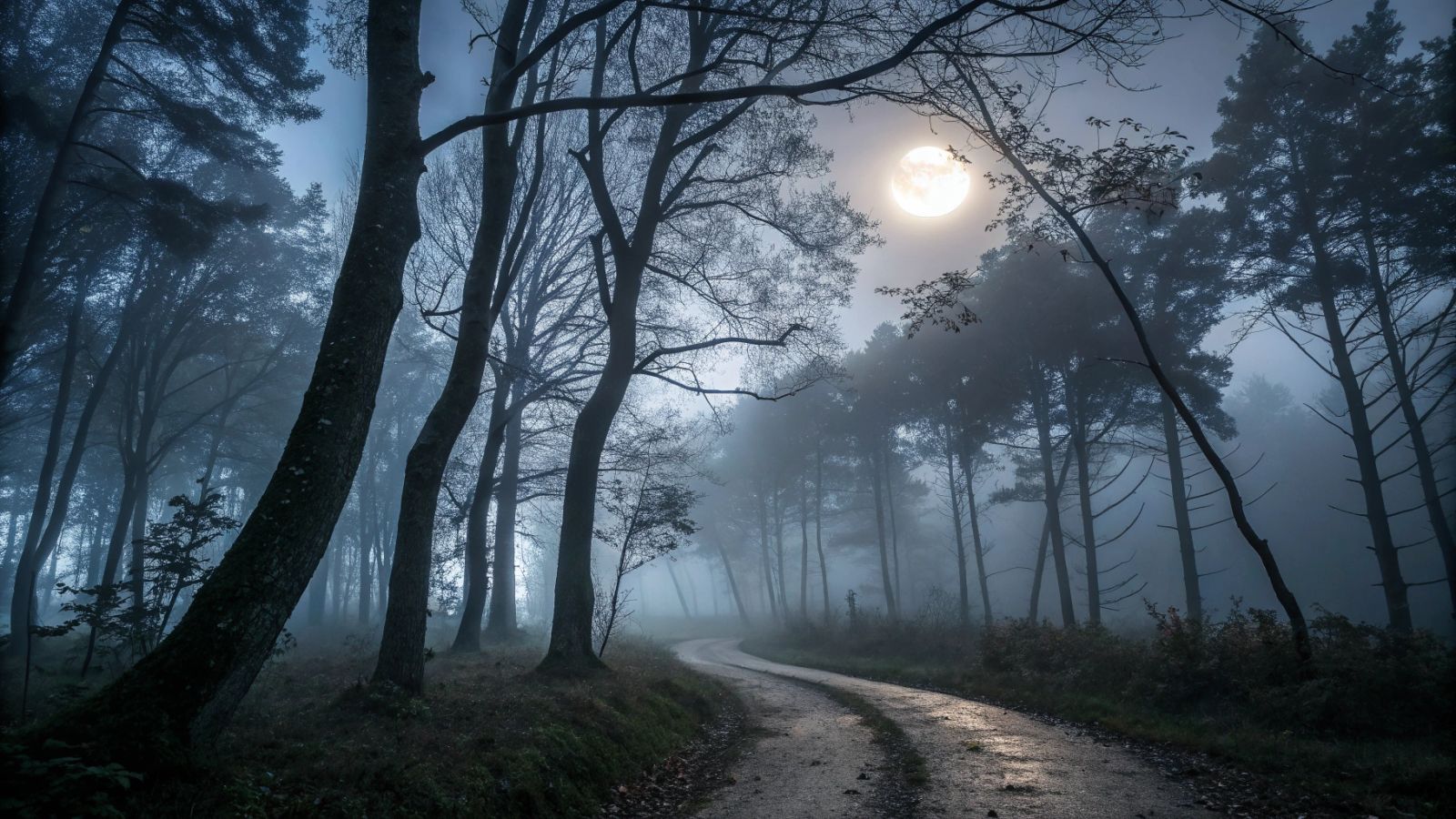 🌔 Oxydation nocturne: un chaînon manquant des modèles climatiques