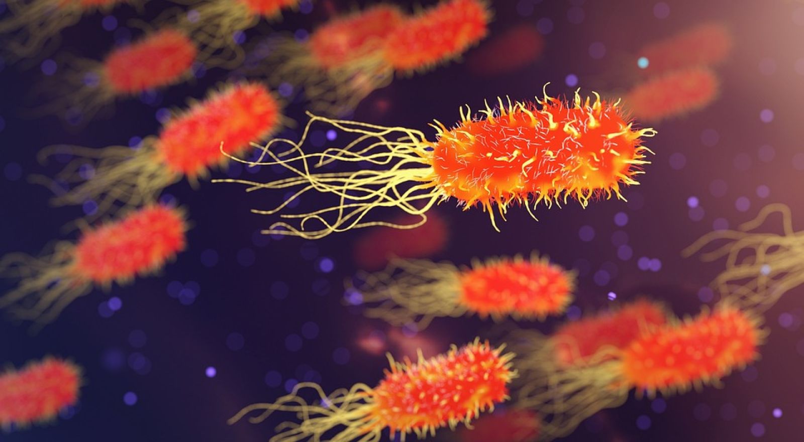 🦠 Cette protéine humaine héritée des bactéries révèle un pan méconnu de notre immunité