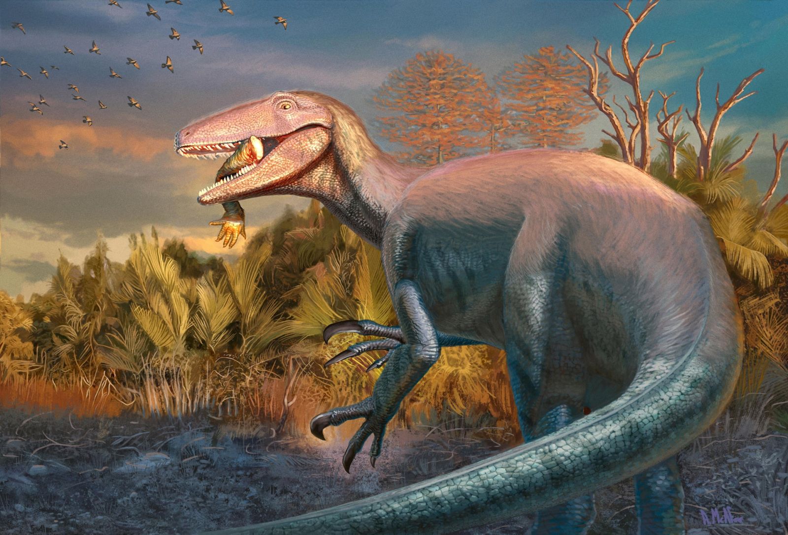 🦴 Découverte d'une nouvelle espèce de mégaraptor, avec une patte de crocodile encore dans la bouche