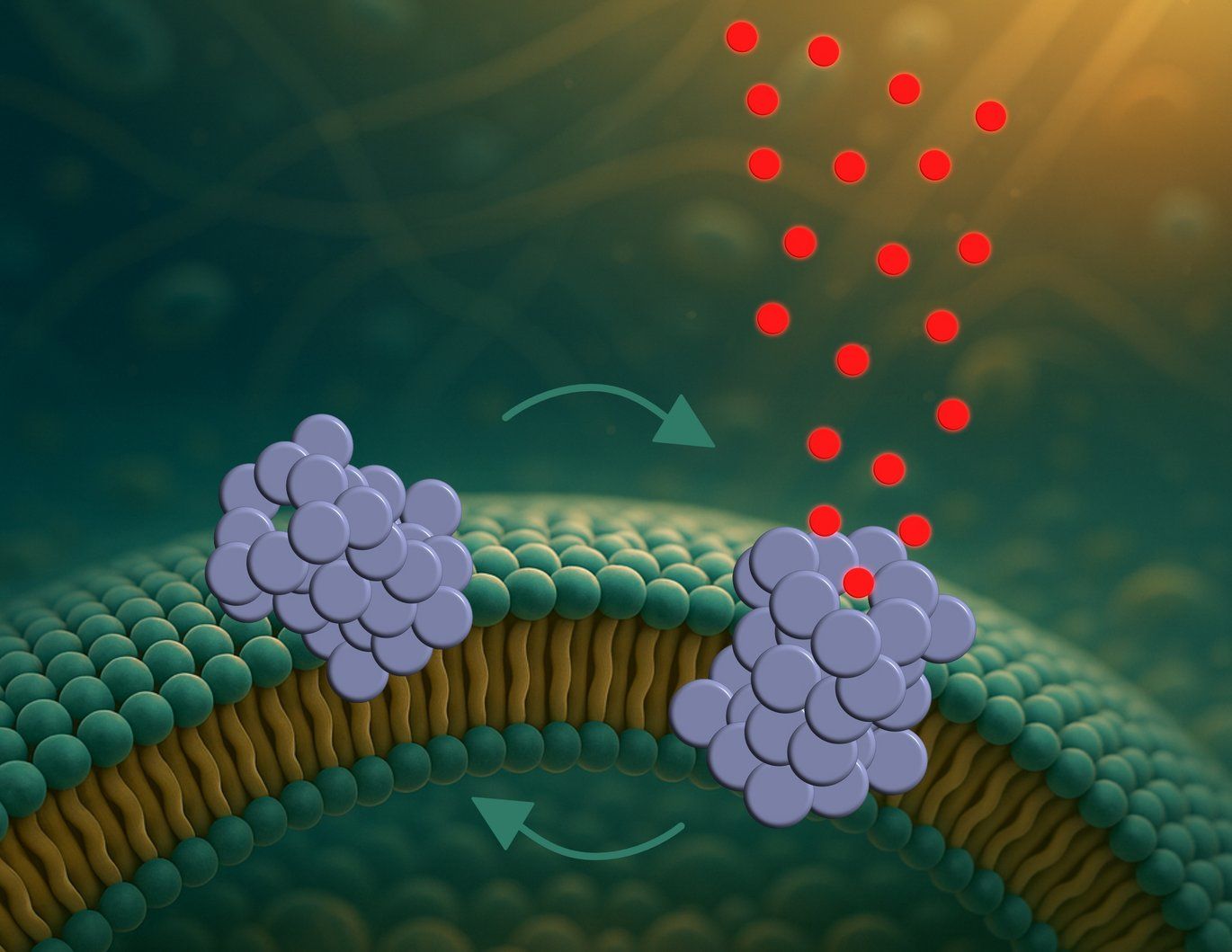 🧠 Parkinson: discovery of a protein that punches holes in our neurons