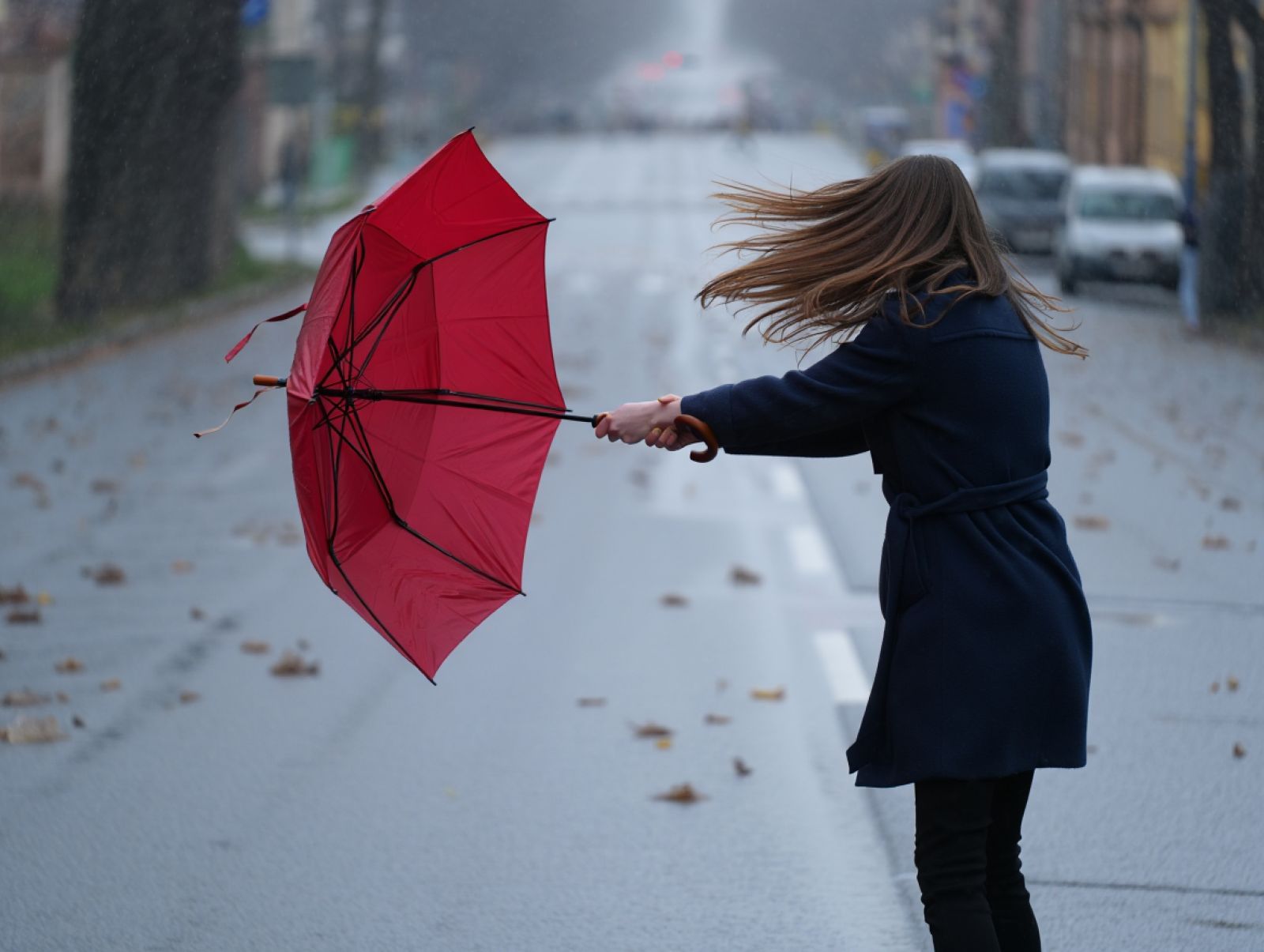 🍃 Why is autumn windier than summer?