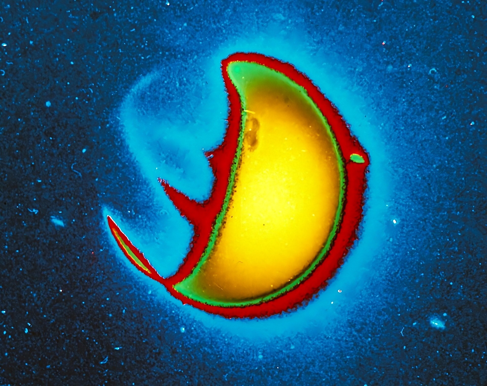 🔭 Earth's mysterious invisible halo finally revealed by a space observatory