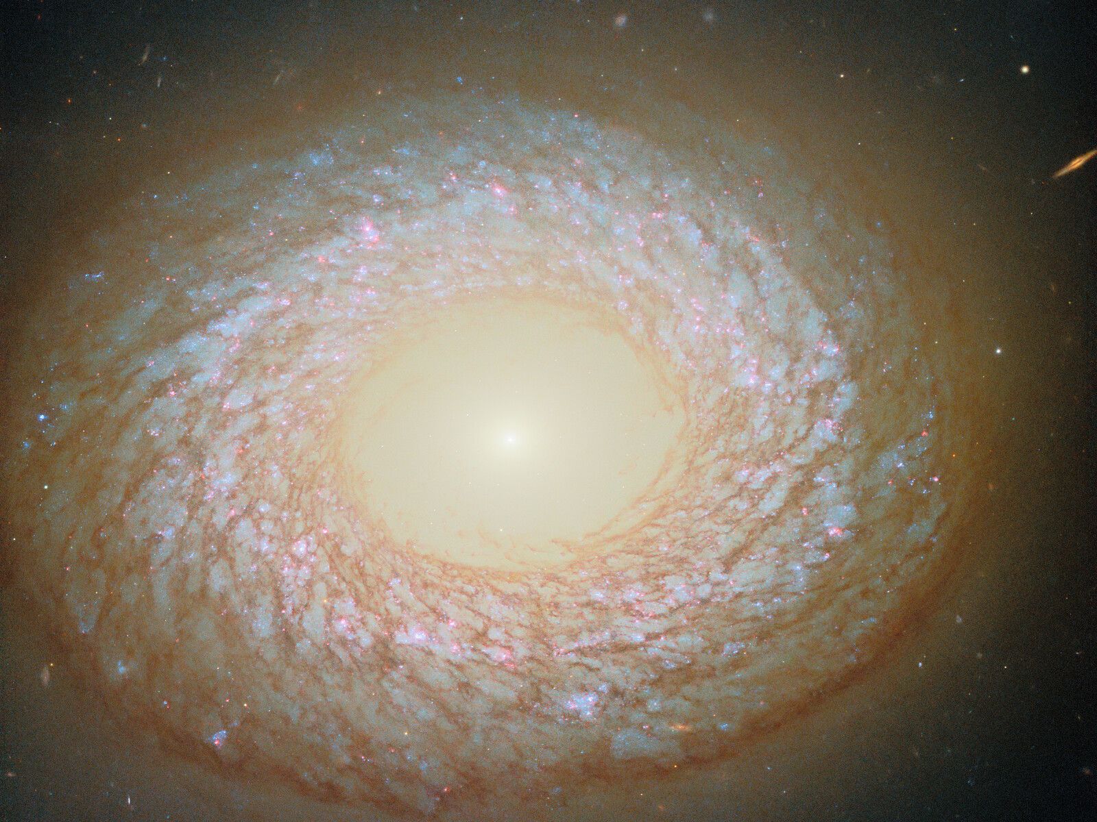 🔭 This hybrid galaxy upends all astronomical classifications