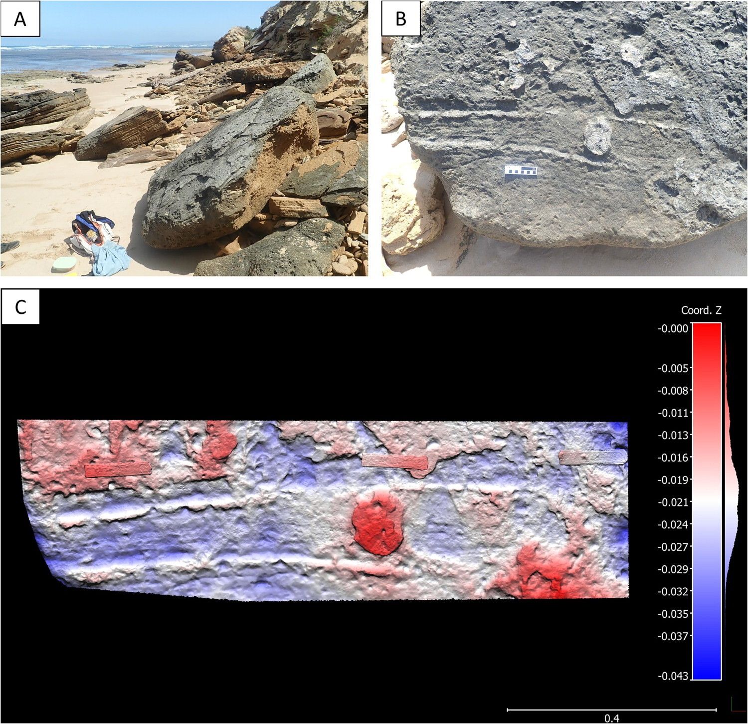 🧻 Here is the first fossil trace of buttock friction!