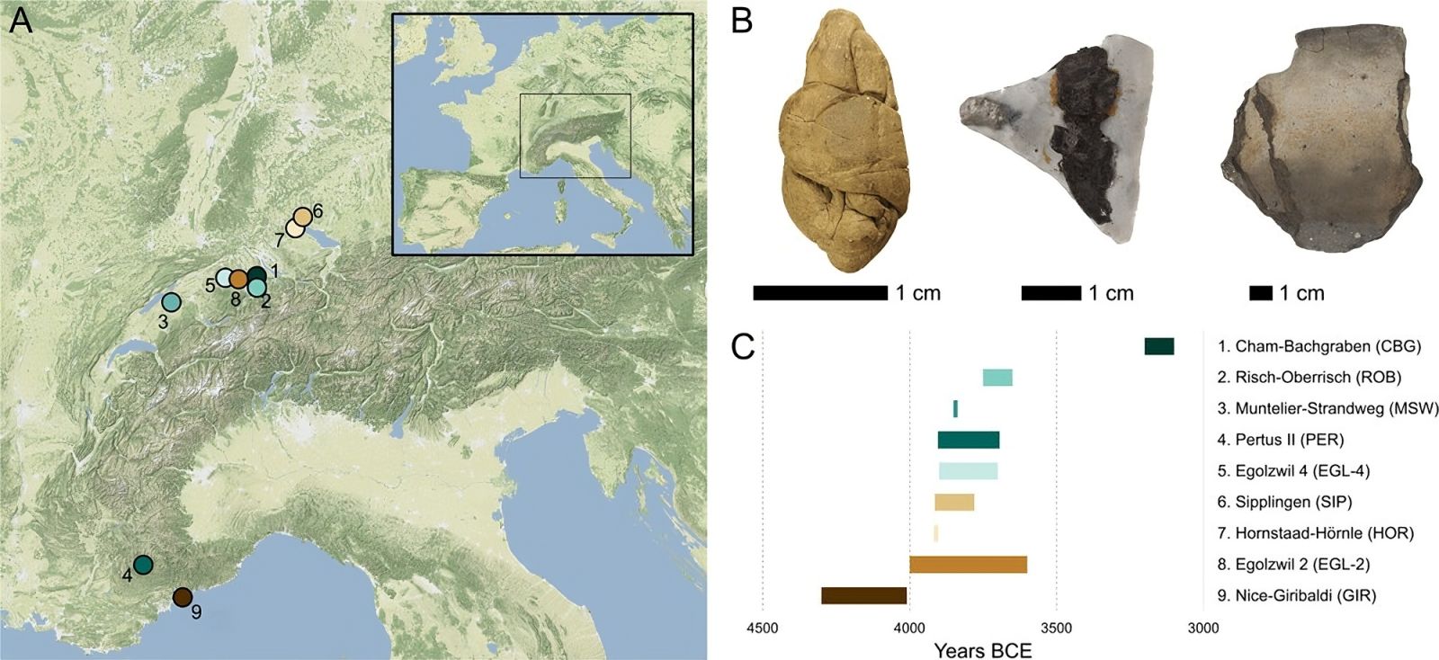🦷 What the discovery of these 6000-year-old chewing gums reveals