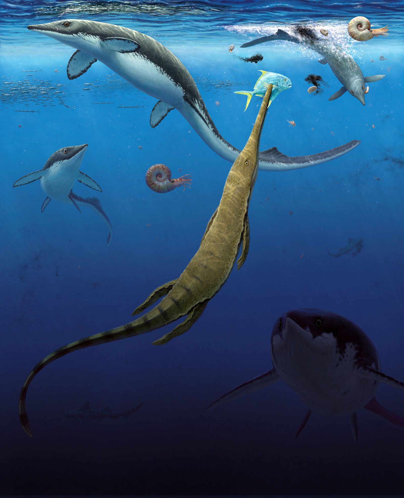 🦴 O que a descoberta de um ecossistema marinho de 249 milhões de anos nos revela