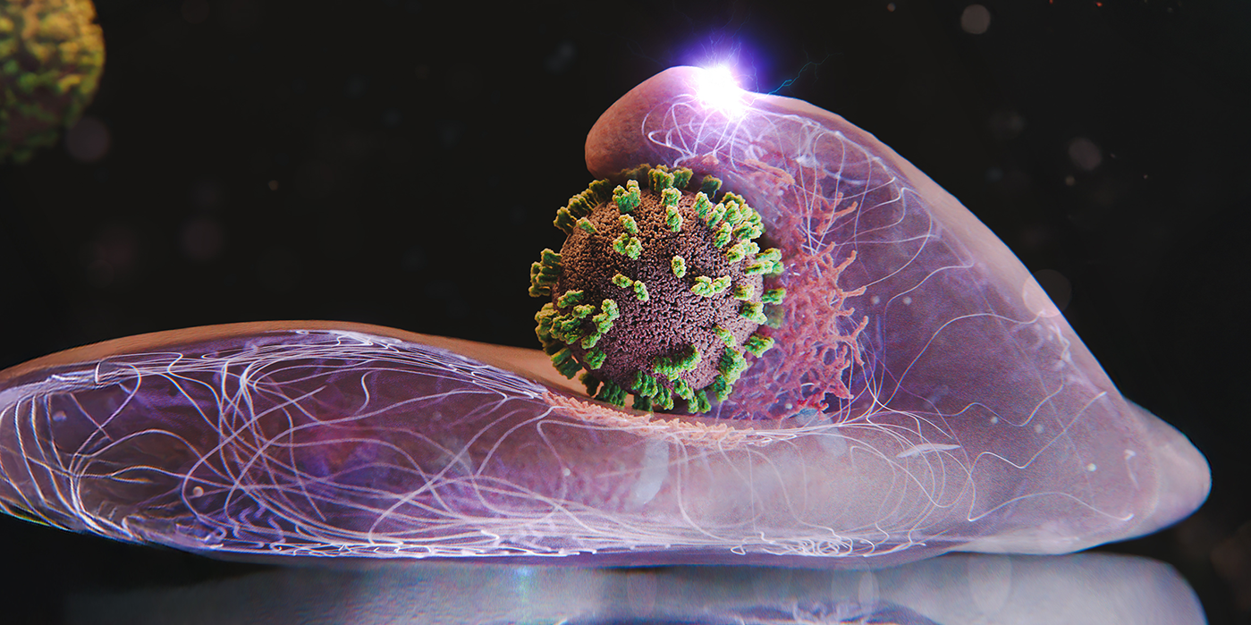 🦠 Primeiras imagens de vídeo de um vírus penetrando numa célula