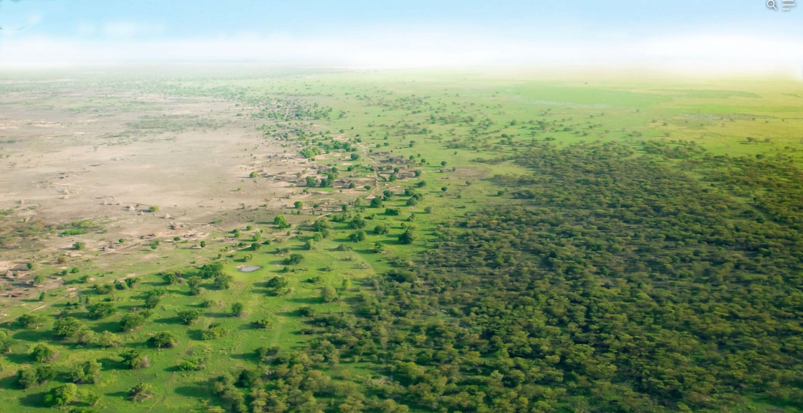 🌳 A China plantou 66 bilhões de árvores: as consequências para nossa atmosfera