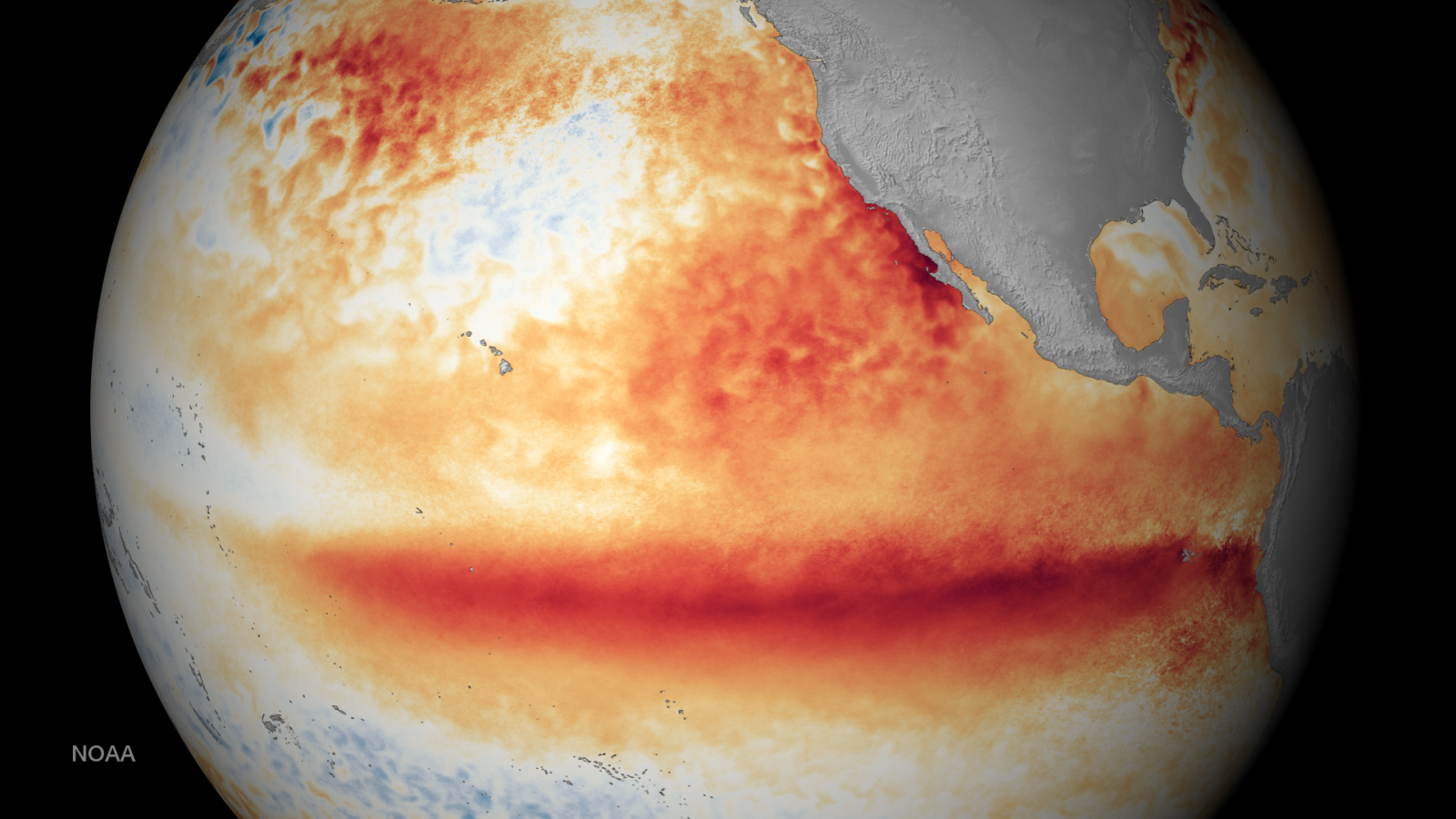 🌡️ Un phénomène climatique d'ampleur en préparation : El Niño record en 2026 ?