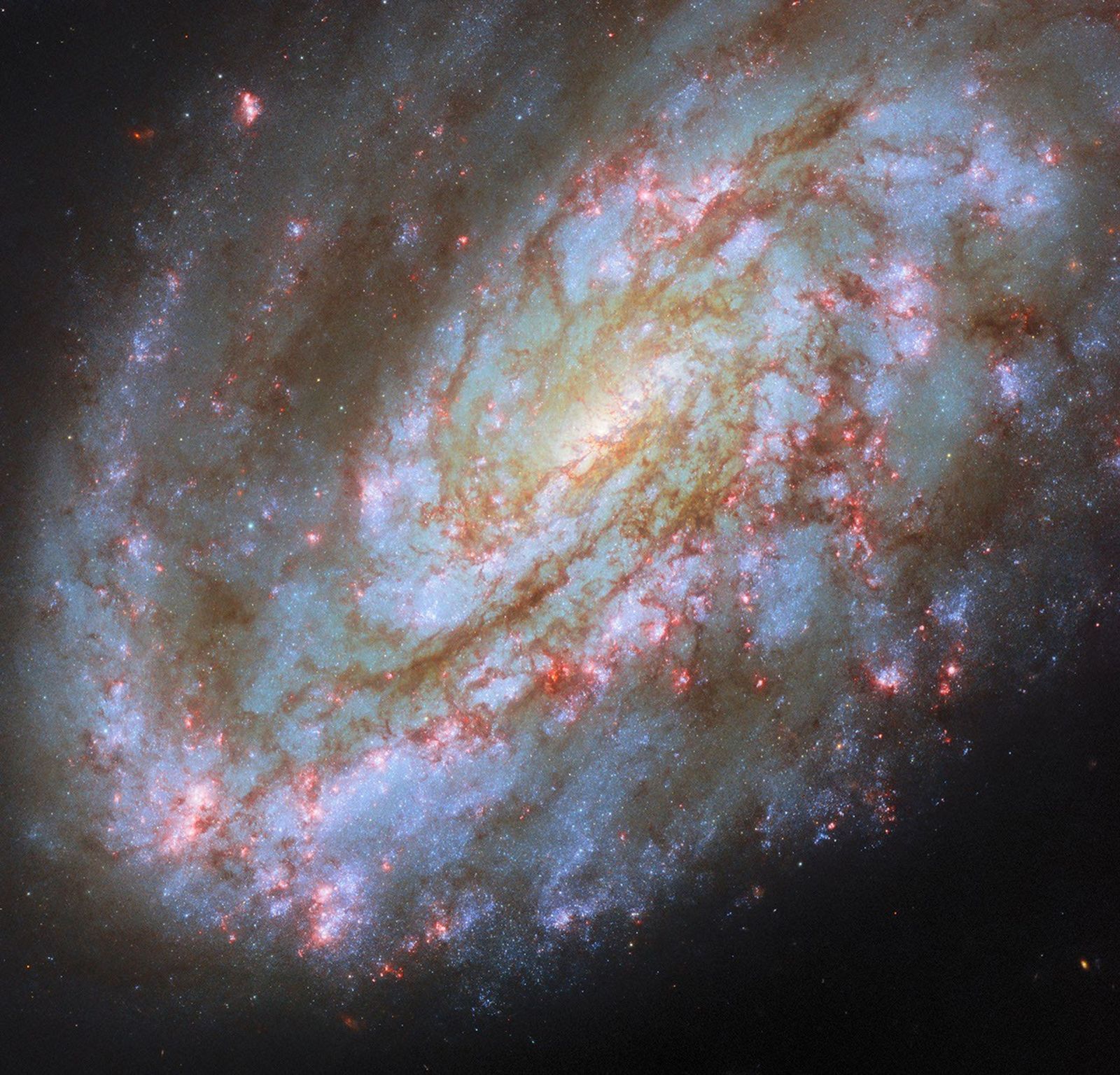 Quelles forces ont pu déformer les bras de cette galaxie ?