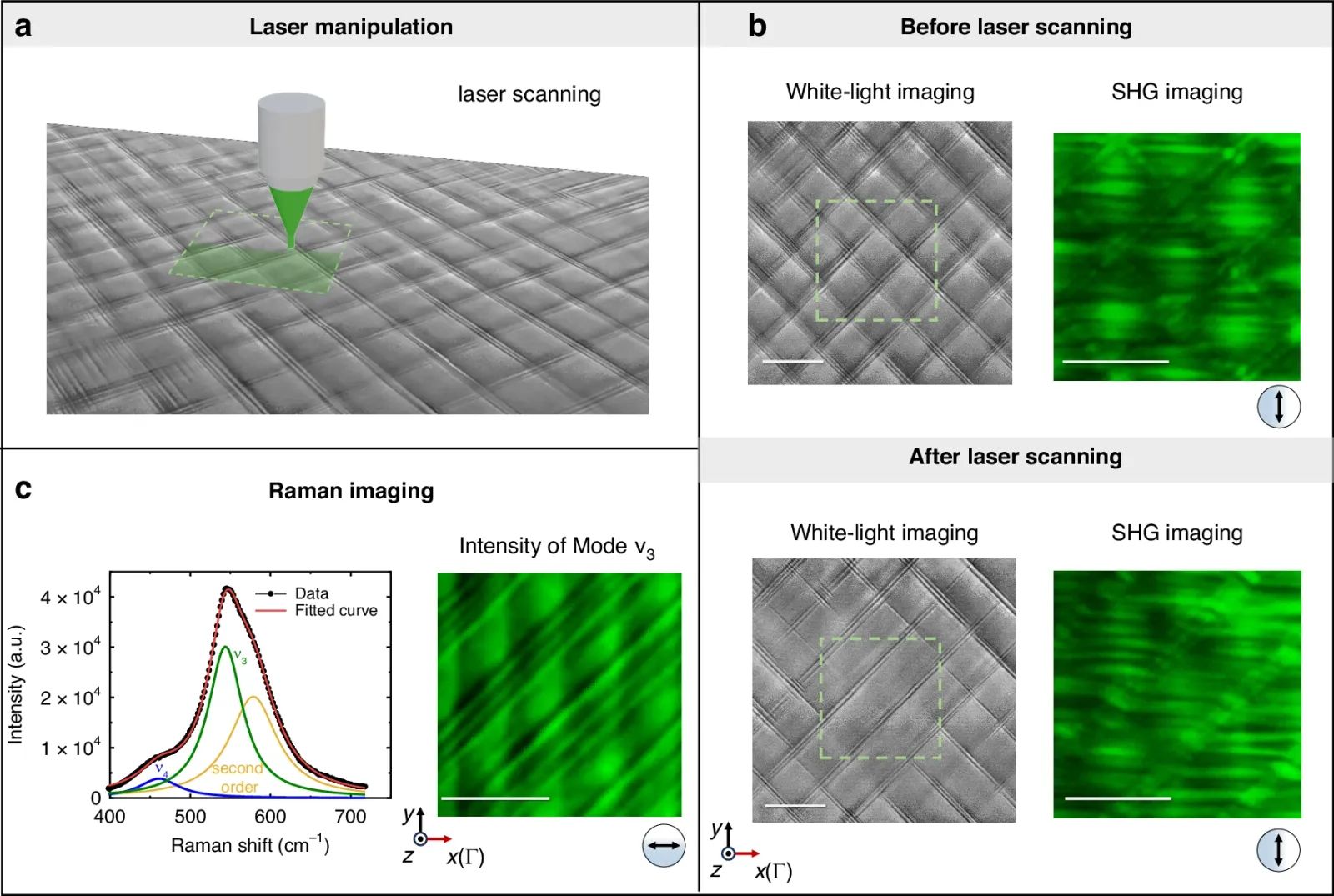 ö Ce cristal fabrique tout seul un réseau microscopique qui ressemble à un tissu