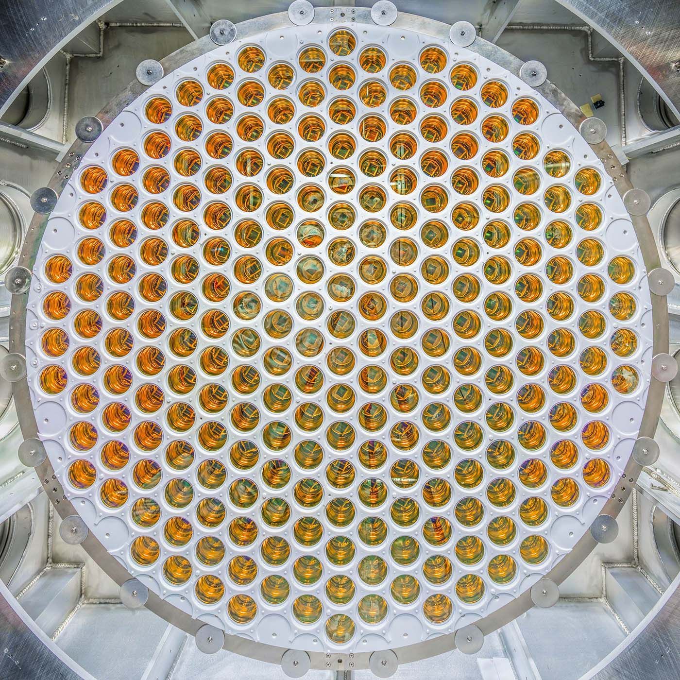 Réseau de photomultiplicateurs du détecteur LUX-ZEPLIN, conçu pour capter les très faibles éclairs lumineux produits dans le xénon liquide.