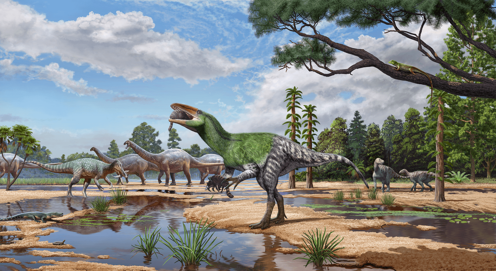 🦖 Un dinosaure prédateur inconnu dormait dans un musée depuis 1924
