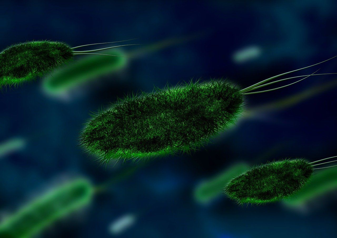 🦠 Tuberculose: comment la bactérie évacue les métaux toxiques pour survivre ?