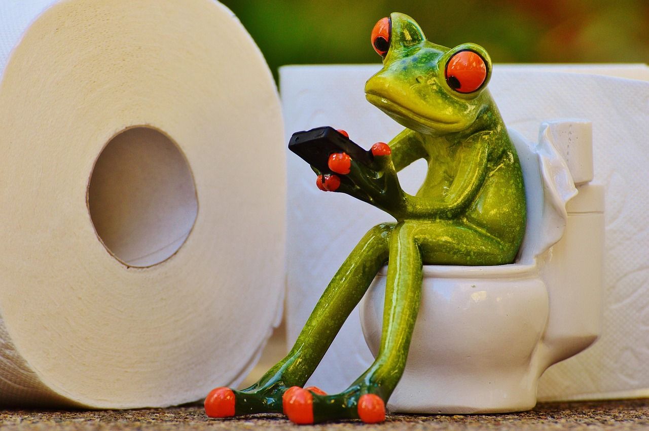 📱 Utiliser son smartphone aux toilettes favorise... les hémorroïdes - voici pourquoi