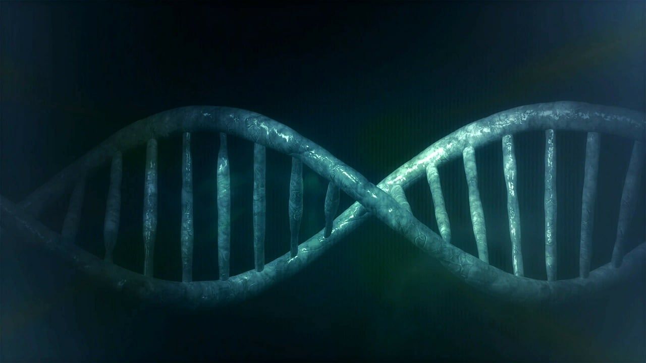 🧬 Record: un ADN de 50 000 ans découvert en Afrique