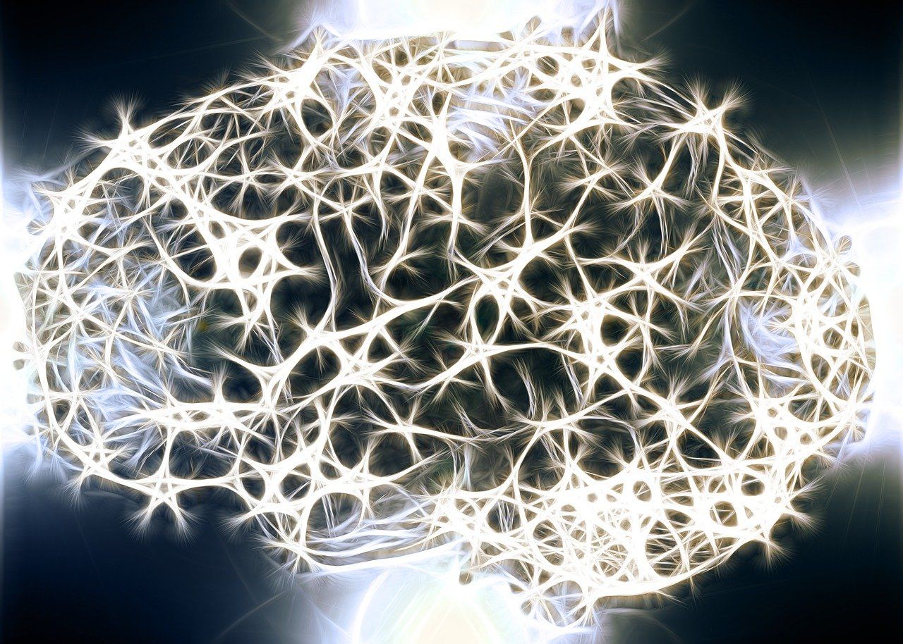 🧠 Que deviennent les neurones "égarés" dans le cerveau ?