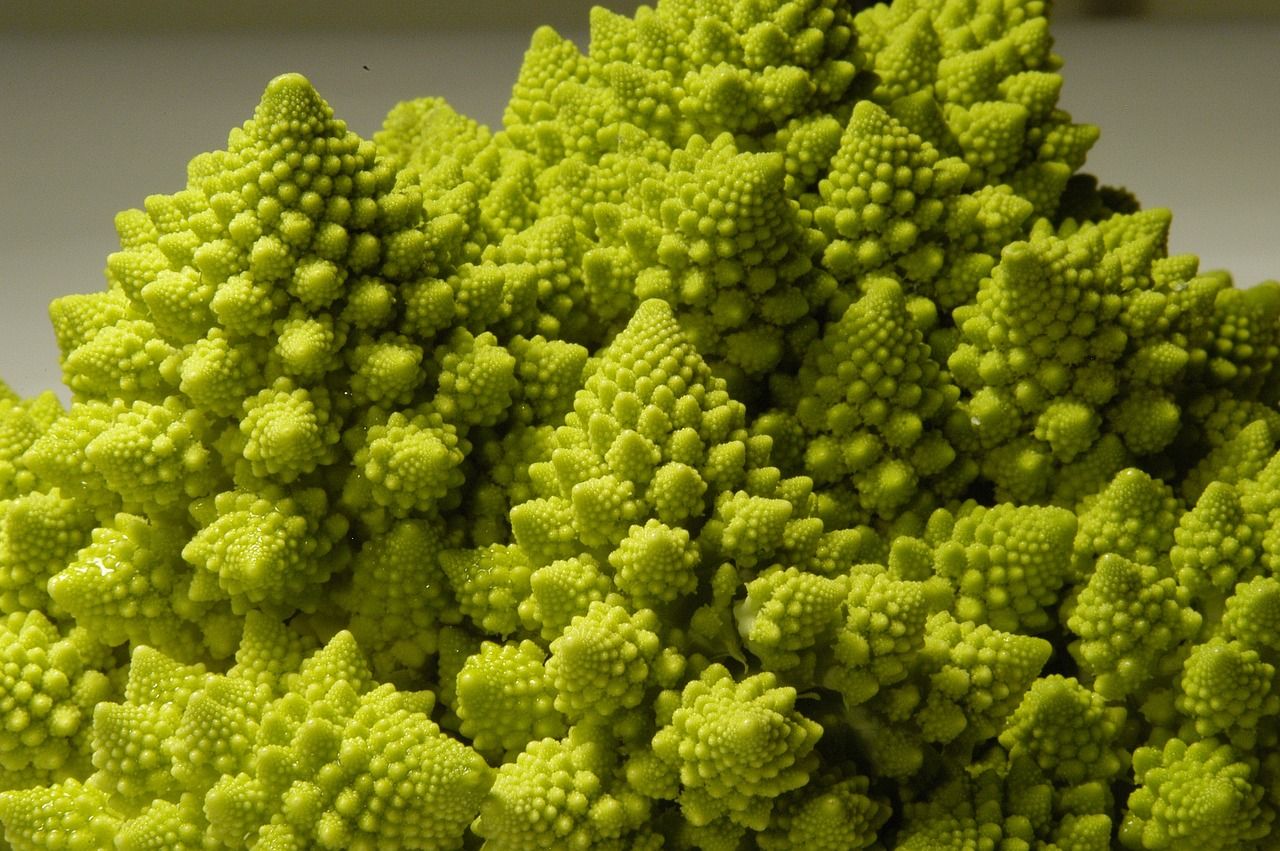O véu se ergue sobre a forma fractal da couve-flor e do romanesco 🥬