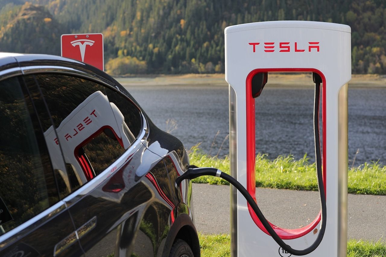 Electric vehicle owners emit more carbon than others: why?