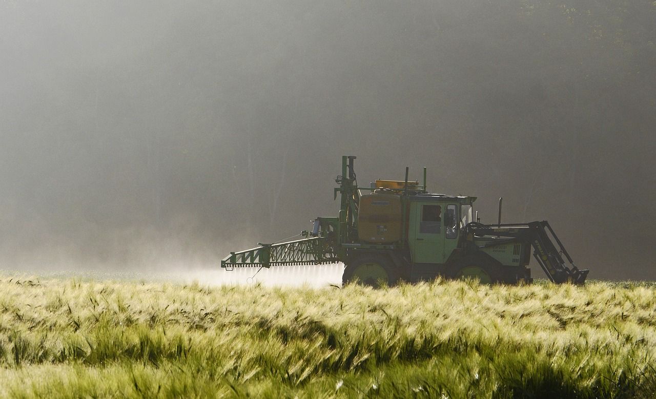 Glyphosate: "probablement" cancérogène ?