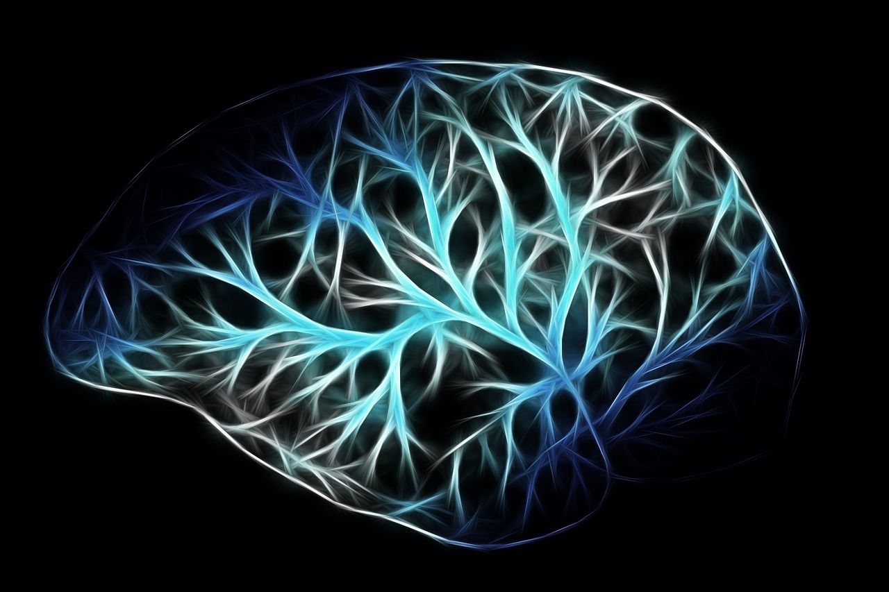 Cette protéine modifiée révèle ses pouvoirs pour booster la mémoire