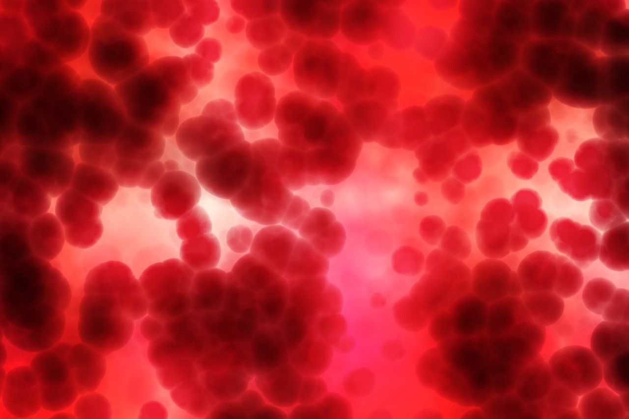 Esta IA detecta o câncer através de uma simples coleta de sangue, com uma precocidade notável