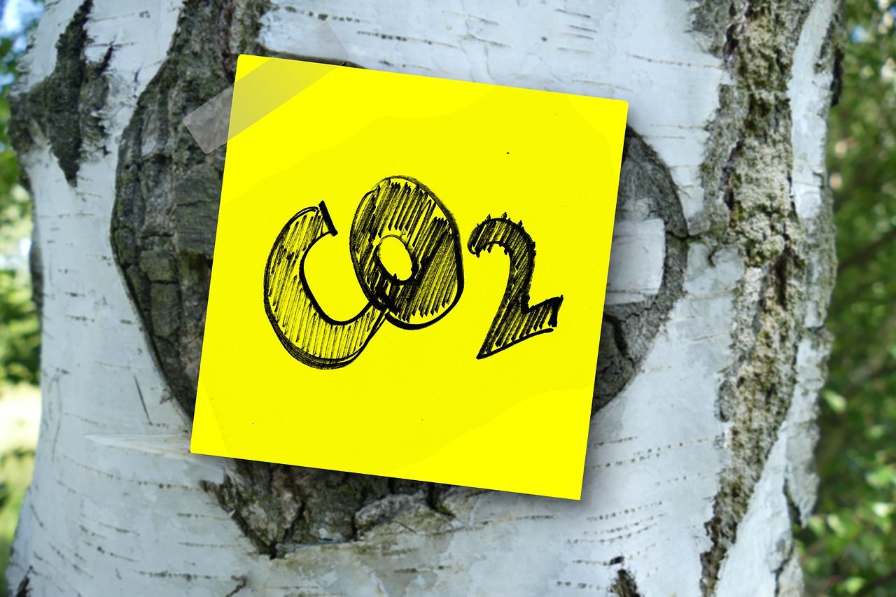 Quand le réchauffement climatique incite le sol à rejeter du CO2 : un cercle vicieux est entamé