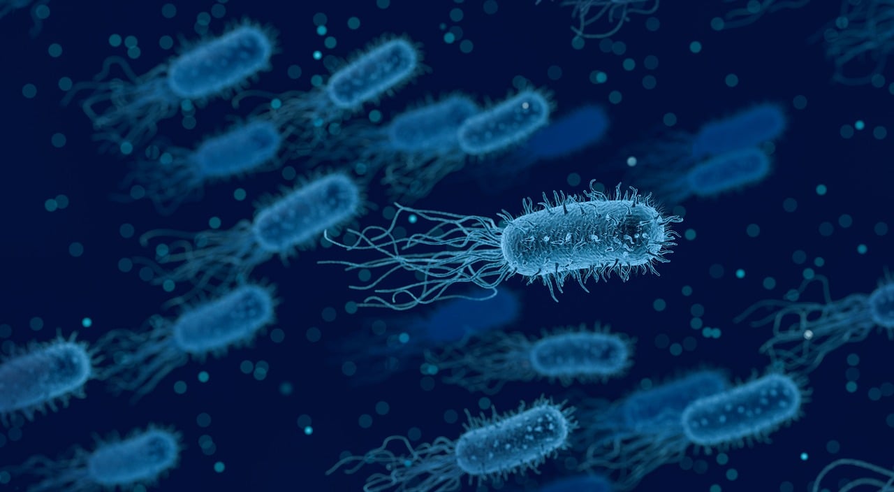Des bactéries artificielles qui aideraient notre microbiote naturel