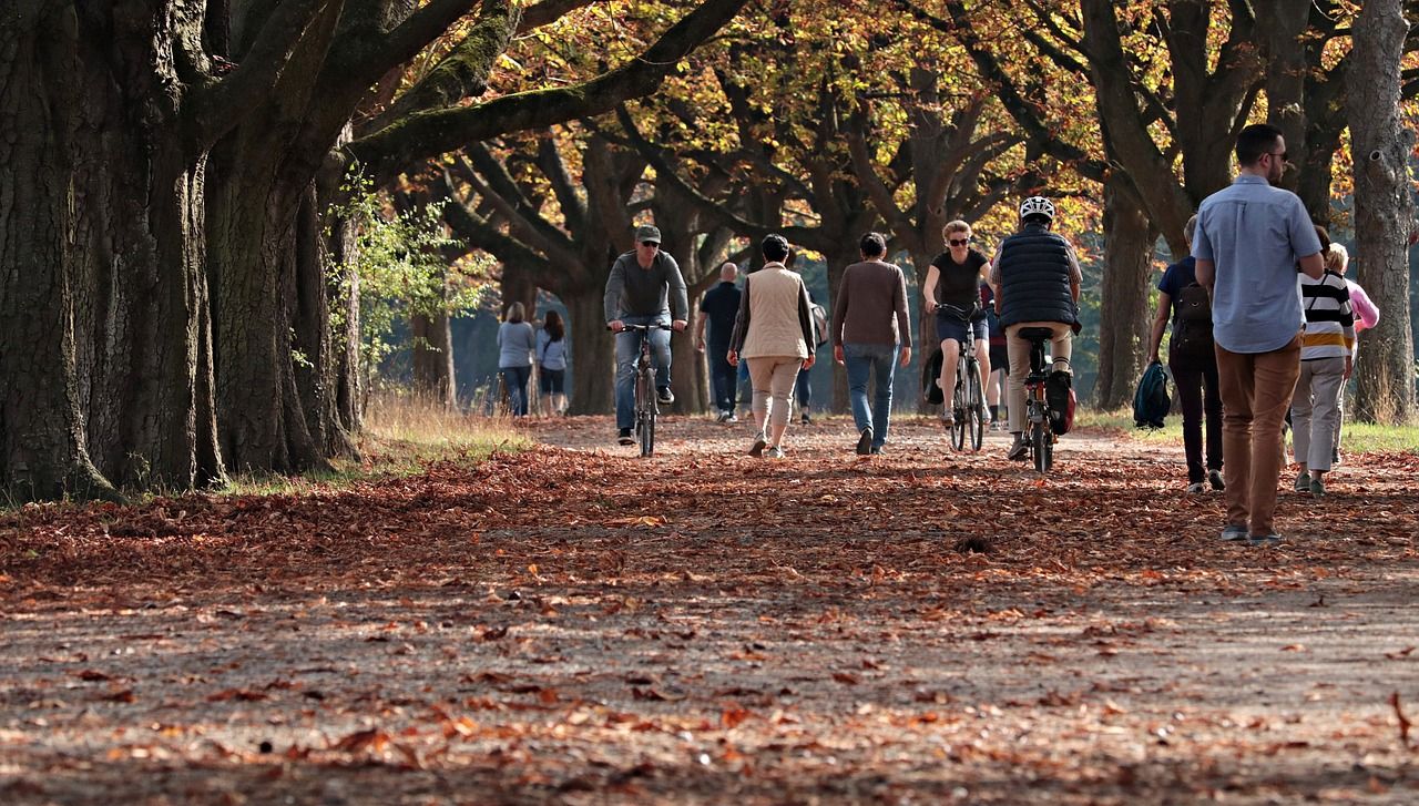 L'effet imprévu des arbres sur la qualité de l'air en ville