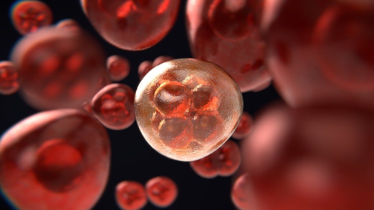 Os microplásticos poderiam propagar o câncer: veja como