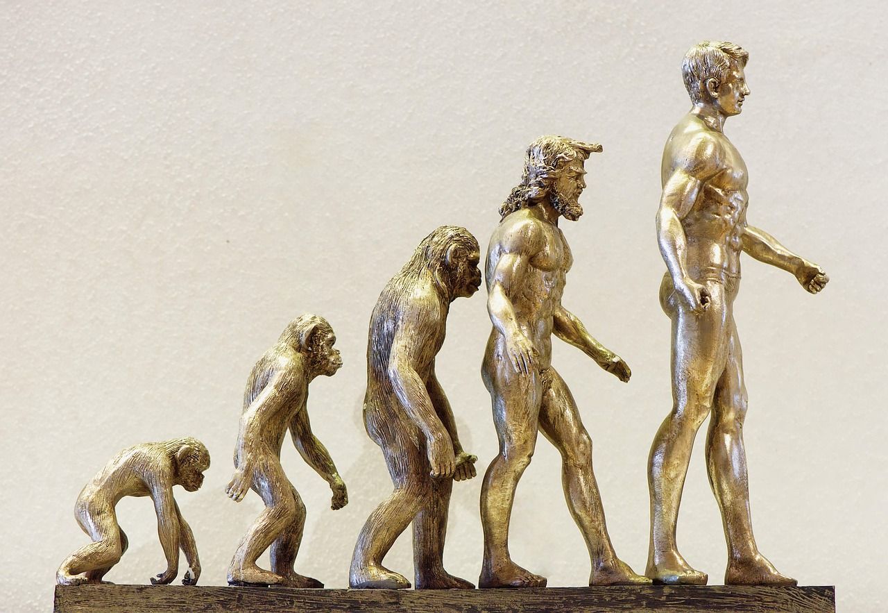 🧬 La différence entre le cerveau humain et celui des chimpanzés causée par... un virus ?