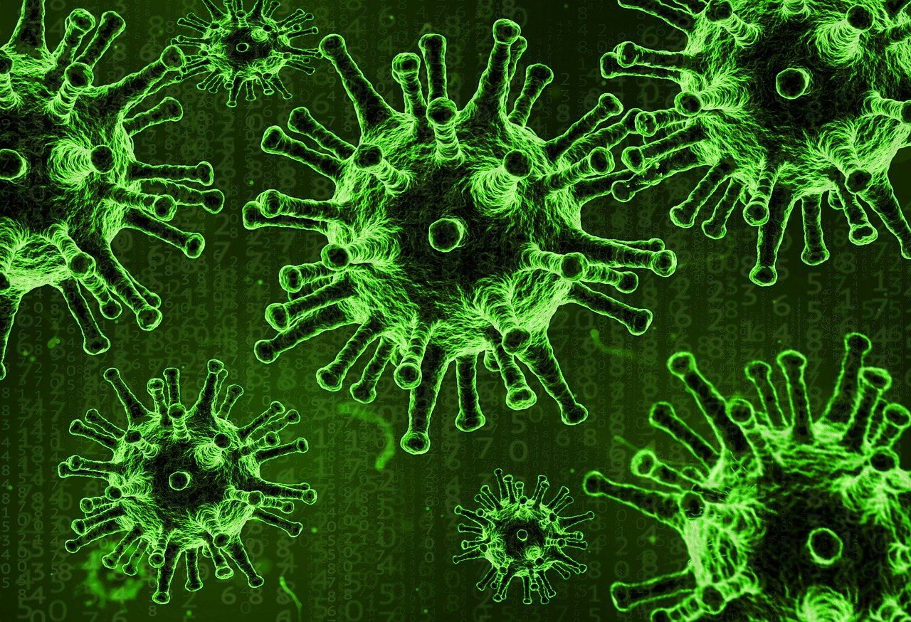 COVID: le virus infecterait les "neurones sexuels"