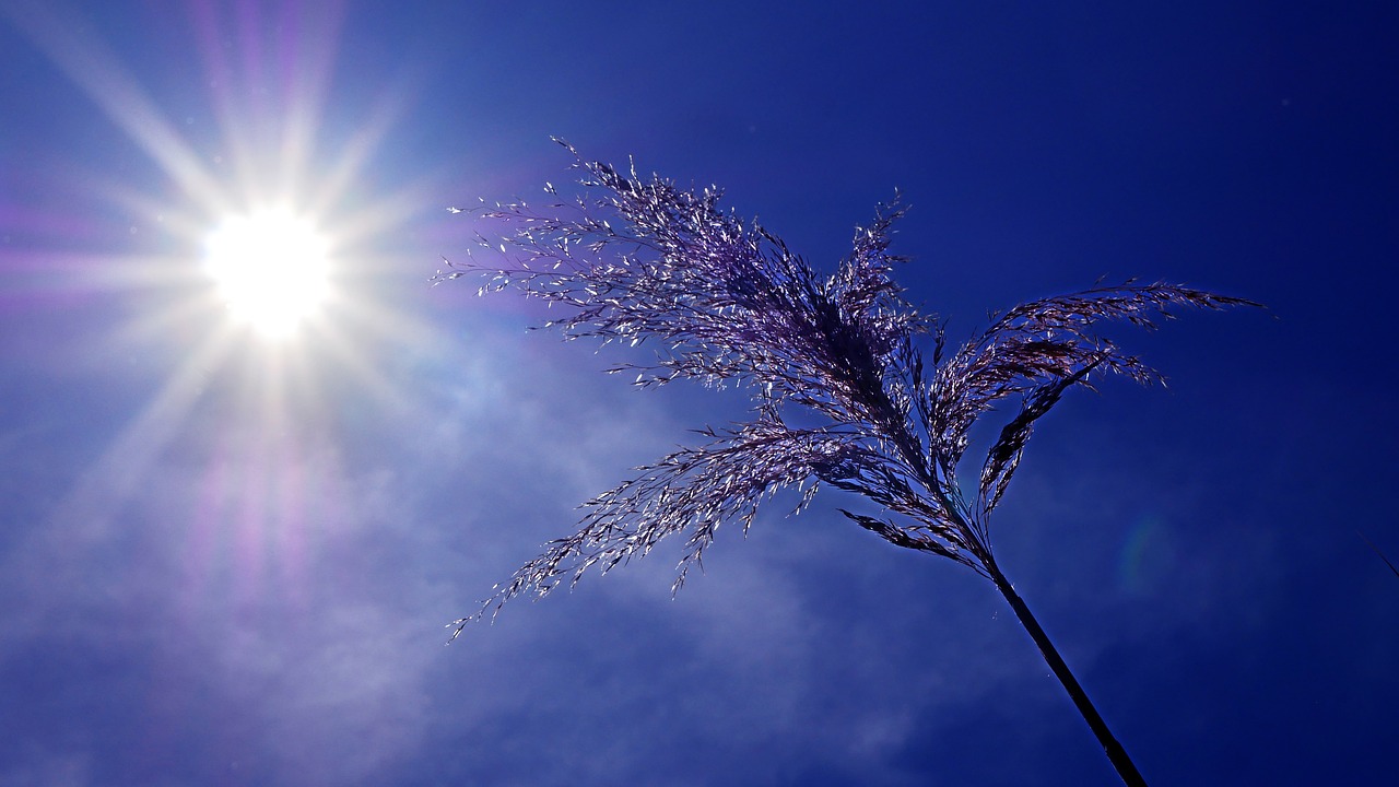 Comment la canicule affecte notre santé