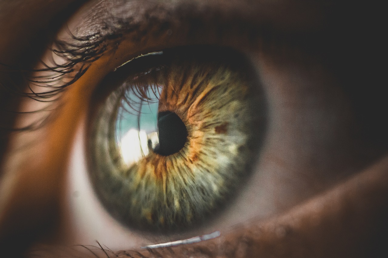 Les illusions d'optique sont dans les yeux, non dans l'esprit
