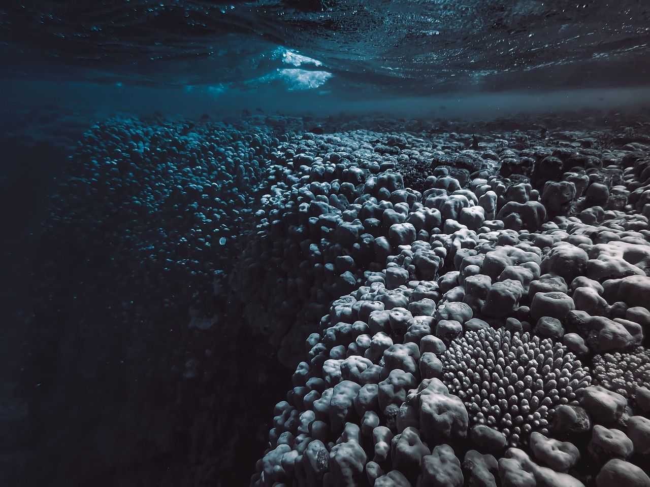 La perte d'oxygène dans l'eau de la Terre s'accélère : vers un nouveau point de basculement ?