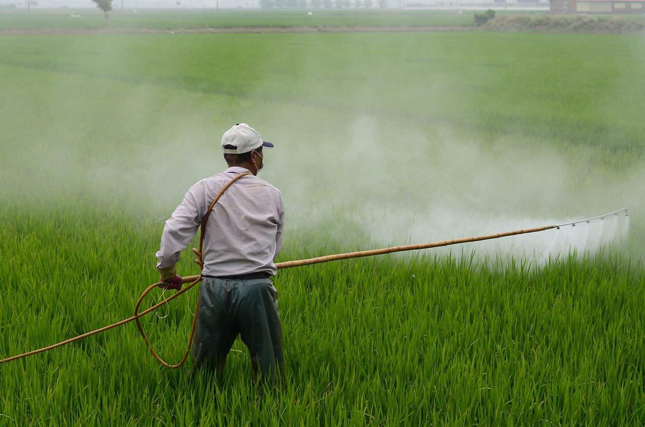 Un ingrédient de l'herbicide Roundup associé à une épidémie de maladies rénales