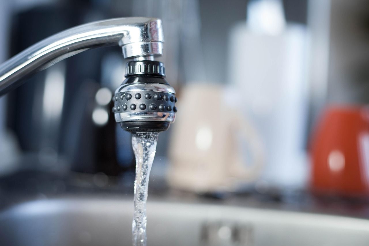 💧 Estas simples sementes se mostram muito eficazes para purificar a água dos microplásticos