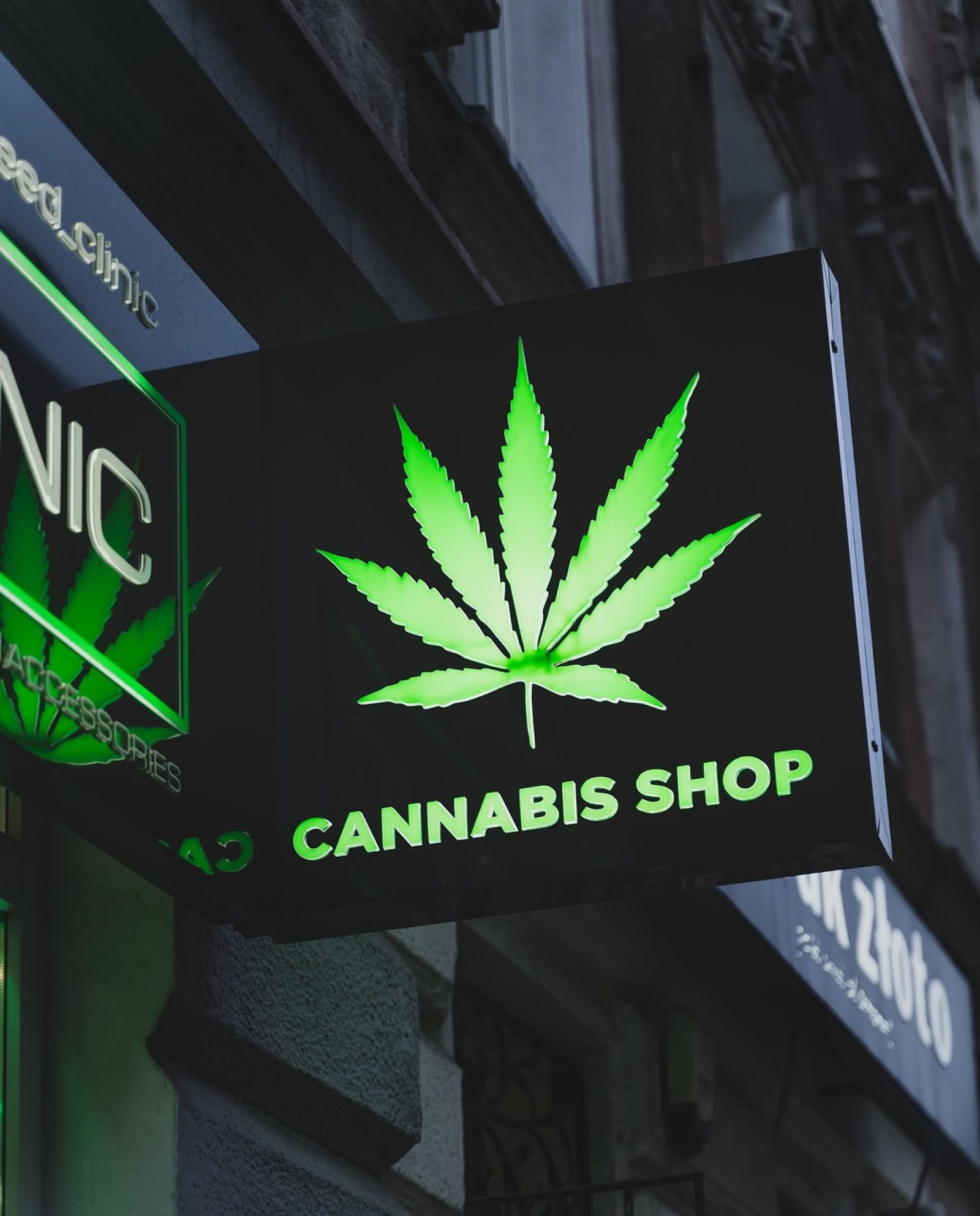 🧠 Consumo de cannabis durante a gravidez e atraso no desenvolvimento cognitivo
