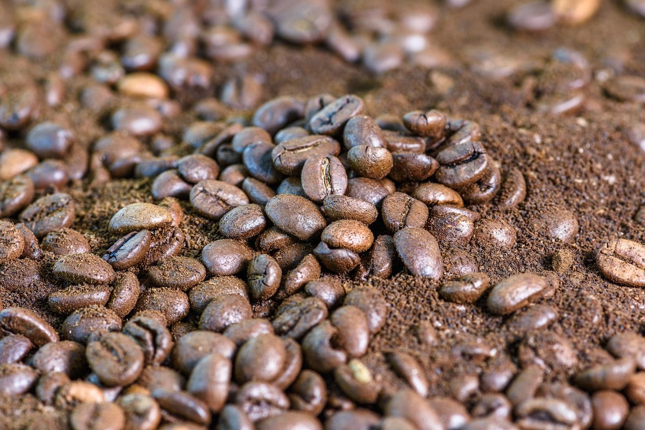 Alzheimer et Parkinson : une solution inattendue dans le marc de café