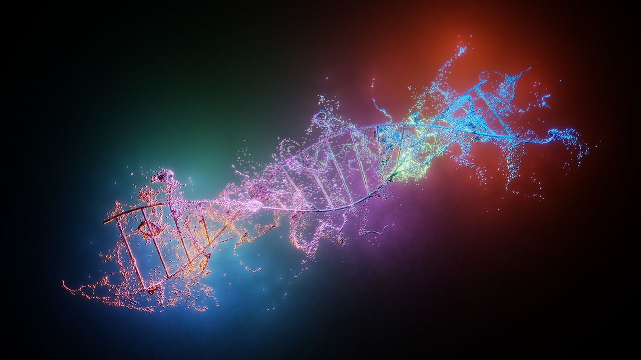 Nouvelle découverte sur le vieillissement: débloquer le potentiel de l'ADN pour prolonger la vie