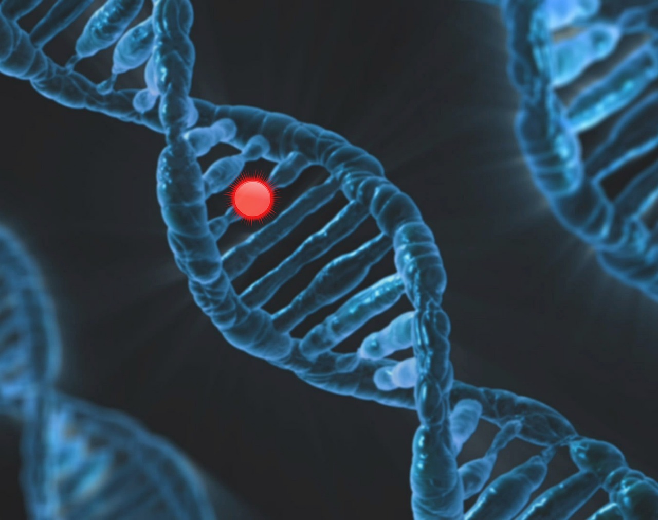 Les cancers, causés par de très anciens gènes ancrés dans notre ADN ?