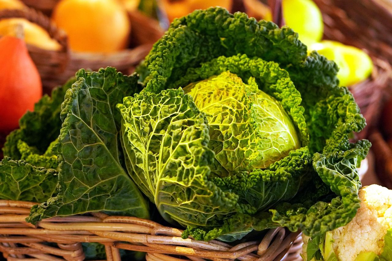 ⚕️ O repolho: um alimento eficaz no combate ao câncer